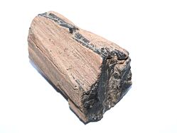 ARAUKARIT  (zkamenělé dřevo)