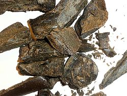 PROPOLIS včelí produkt, již Keltové jej spalovali na obranu proti zlým kouzlům a magii,  příznivou atmosféru obecně mezi lidmi, skvěle se hodí při přivítacích a seznamovacích rituálech, uvolňuje napětí, vydává jemnou, balzámovou a hřejivou pryskyřičnatou vůni, upomínající na med