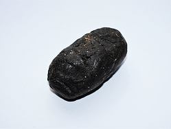 AMBRA (ambergriese) černá, pravá ambra, výměšek vorvaně, je sbírána z mořské hladiny či na plážích celého světa, černá je nejčerstvější, má měkčí konzistenci je nejvíce animální, mysteriózní a živočišná