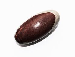 Šiva lingam z řeky Narmada