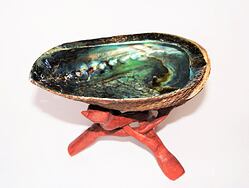 ABALONE velká mušle používaná šamany a Indiány jako kadidelnice k pálení bílé šalvěje, magických bylin a dalších vykuřovadel