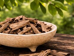 Agarwood (oud) – vzácné vonné dřevo s vysokým obsahem pryskyřice