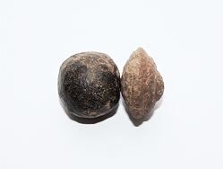 MOQUI MARBELS