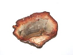 ARAUKARIT  (zkamenělé dřevo) Madagaskar, plátky slouží jako podložka pod kadidelnici a energeticky posiluje vykuřování