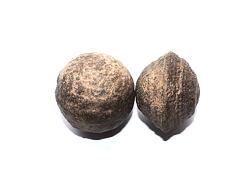 MOQUI MARBLES  „Hromové kuličky“ nebo také „Šamanské kameny" jsou pojmenovány podle Indiánů kmene Moqui, kteří obývali území Utahu