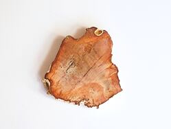 ARAUKARIT  (zkamenělé dřevo) Madagaskar, na duchovní úrovni araukarit posiluje paměť, koncentraci, vhodným pomocníkem při duševních problémech, nespavosti, má pozitivní vliv na nervovou soustavu