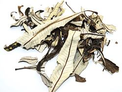 YERBA SANTA jako vykuřovadlo velmi dobře neutralizuje negativní atmosféru, podporuje vnitřní sílu a samoléčivé schopnosti.
