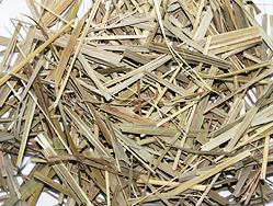 SWEETGRASS Mezi Indiány se toto vykuřovadlo těší veliké vážnosti a úctě, používají ji při očistných, léčebných i šamanských obřadech