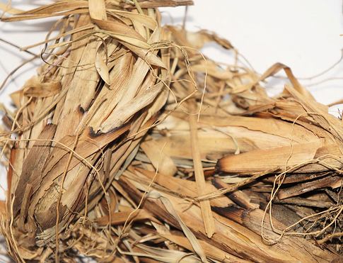VETIVER