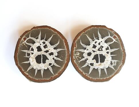 SEPTARIE (Dračí vejce)  dokáže chránit před nepříznivými vlivy, temnými energiemi a vším špatným, co k nám v životě přichází.