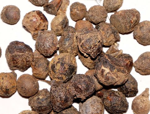 SKOŘICOVNÍK - bobule Nepál  při vykuřování  zahřívá, konejší, odstraňuje nervové vypětí a úzkostné stavy, má afrodiziakální účinky
