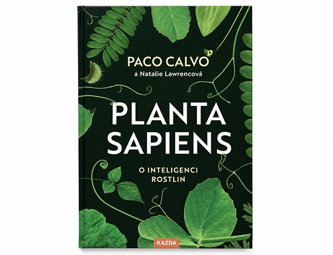 Kniha Planta Sapiens o inteligenci rostlin od Paca Calva