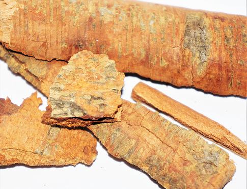 MURURE - kůra při vykuřování dodává sílu a vitalitu, zlepšuje paměť, slouží na ochranu před čarodějnictvím a špatnými kouzly
