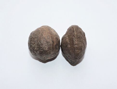 MOQUI MARBELS