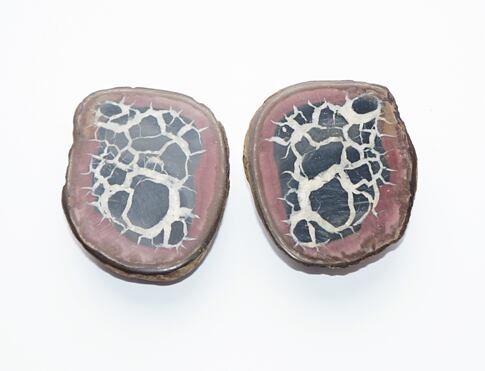 SEPTARIE (Dračí vejce) poskytuje silnější ochranu před nepříznivými vlivy, temnými energiemi a vším, co k nám v životě přichází v negativní podobě.