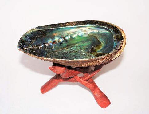 ABALONE velká mušle používaná šamany a Indiány jako kadidelnice k pálení bílé šalvěje, magických bylin a dalších vykuřovadel