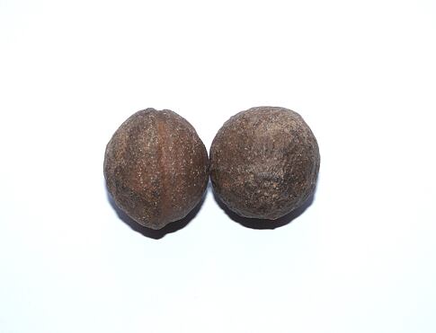 MOQUI MARBLES „Hromové kuličky“ nebo také „Šamanské kameny" jsou pojmenovány podle Indiánů kmene Moqui, kteří obývali území Utahu