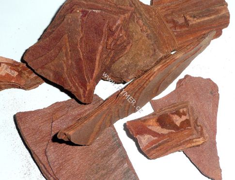 BOROVICE HIMALÁJSKÁ - kůra má při vykuřování ochranné účinky, dokáže pročistit prostory od negativních sil