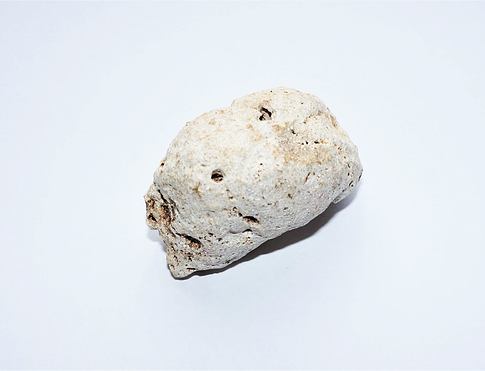 AMBRA (ambergriese) bílá, pravá ambra, výměšek vorvaně, je sbírána z mořské hladiny či na plážích celého světa, nejvíce kvalitní je bílá, rozhoduje vůně, je suchá, květinová, dřevitá se slábnoucími doteky animality