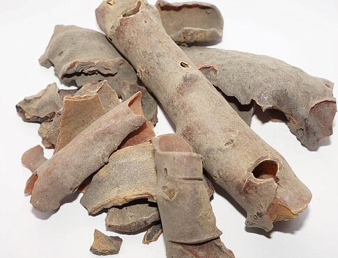 BUSHMANS CANDLE kůra sukulentní rostliny, rostoucí téměř výhradně v Namibii, vydává jemnou, hřejivou vůni s nádechem vanilky a benzoe s tóny medu a včelího vosku