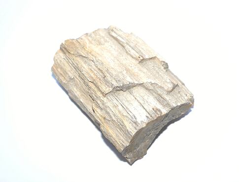 ARAUKARIT  (zkamenělé dřevo)