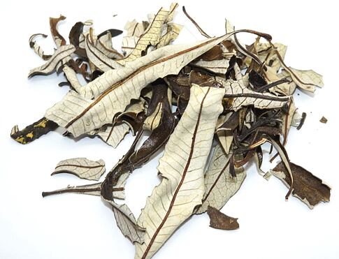 YERBA SANTA jako vykuřovadlo velmi dobře neutralizuje negativní atmosféru, podporuje vnitřní sílu a samoléčivé schopnosti.