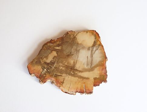 ARAUKARIT  (zkamenělé dřevo) Madagaskar, na duchovní úrovni araukarit posiluje paměť, koncentraci, vhodným pomocníkem při duševních problémech, nespavosti, má pozitivní vliv na nervovou soustavu