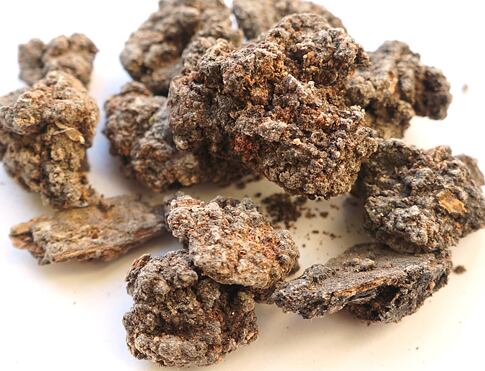 ČERNÝ MASTIX – vzácná tmavá pryskyřice stromu Pistacia aethiopica používaná jako vykuřovadlo