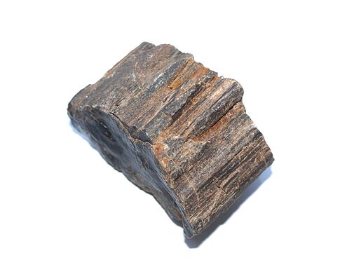 ARAUKARIT  (zkamenělé dřevo)