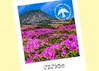 Vonné tyčinky - FRAGRANCE MEMORIES / Jejudo Field / Jižní Korea