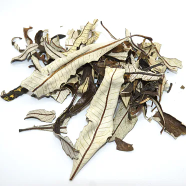 YERBA SANTA