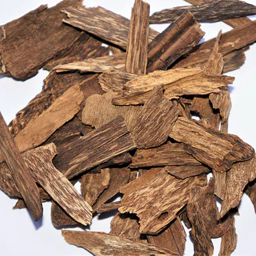 Agarwood -  ORLÁŘKA DRAHOCENNÁ  Kalimantan - Super Grade B