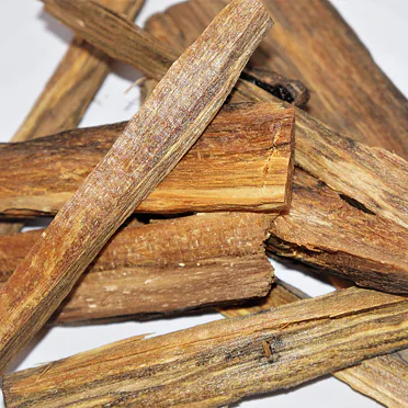 GAHARU BUAYA  - krokodýlí agarwood