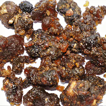 GUGGUL (Pákistán)