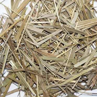 SWEETGRASS