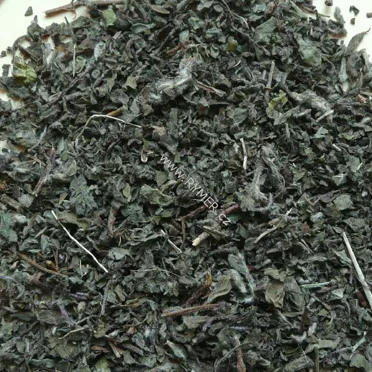 TULASI (bazalka posvátná)