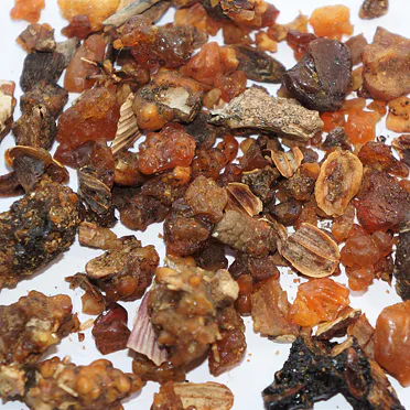 SAGAPENUM