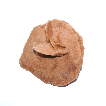 POUŠTNÍ RŮŽE Alžír/ 2