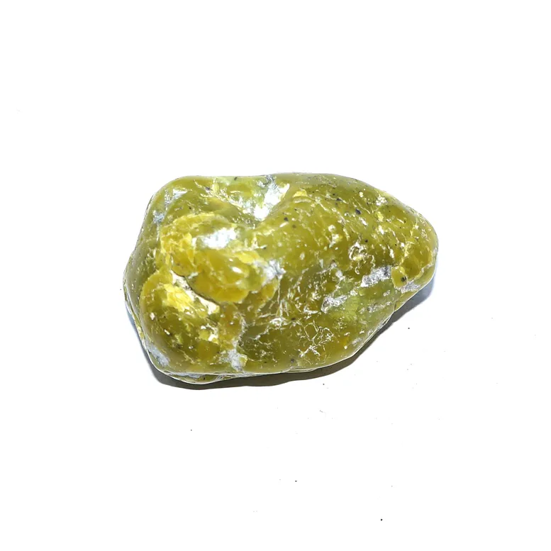 LIZARDIT