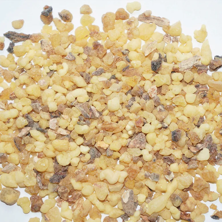 Kadidlo Boswellia papyrifera ze Súdánu s drobnými zrny a balzámovou vůní