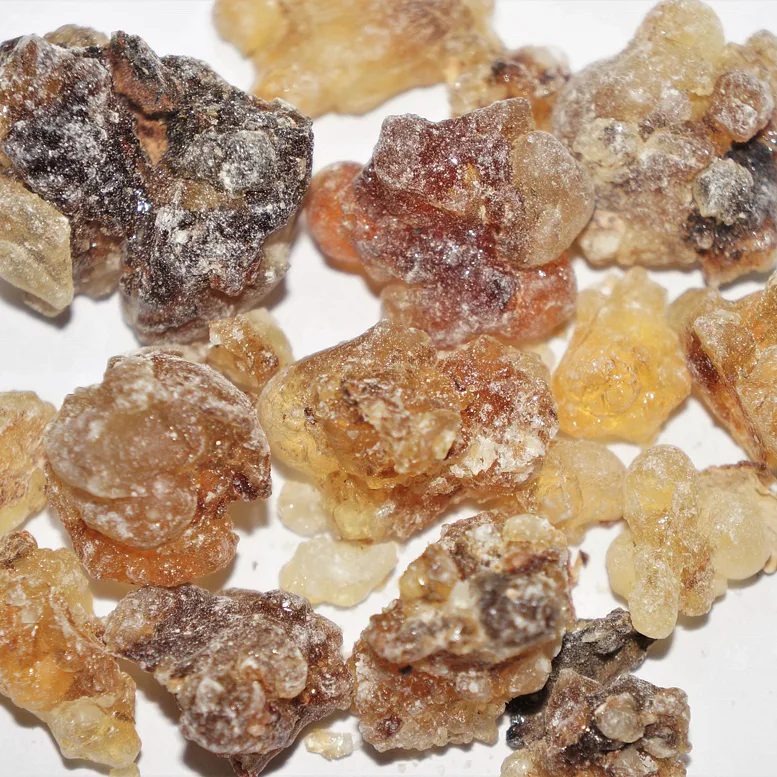 Kadidlo Shaabi – tmavší pryskyřice Boswellia z Ománu na vykuřování