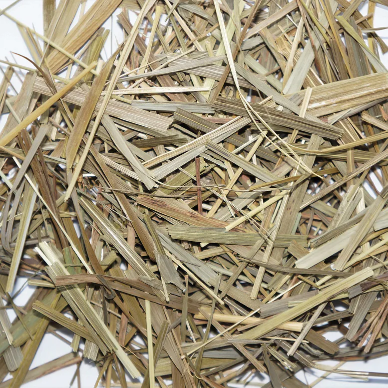 Sweetgrass k vykuřování – tomkovice vonná, tradiční indiánské vykuřovadlo s jemně sladkou vůní
