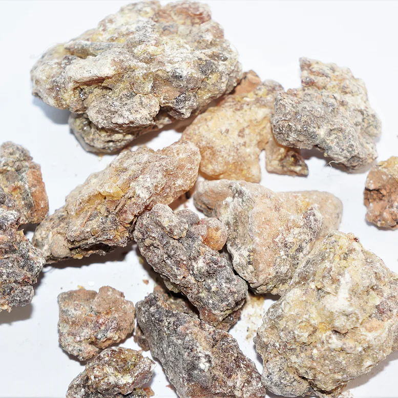 Kadidlo Rivae – vzácná pryskyřice Boswellia z oblasti Ogaden