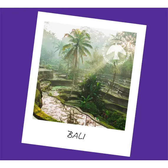 Vonné tyčinky - FRAGRANCE MEMORIES / Bali Rain / Indonésie