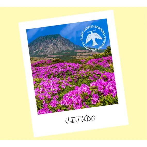 Vonné tyčinky - FRAGRANCE MEMORIES / Jejudo Field / Jižní Korea