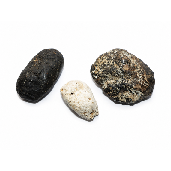 Bílá ambra ambergris – světlé kusy vzácné přírodní substance