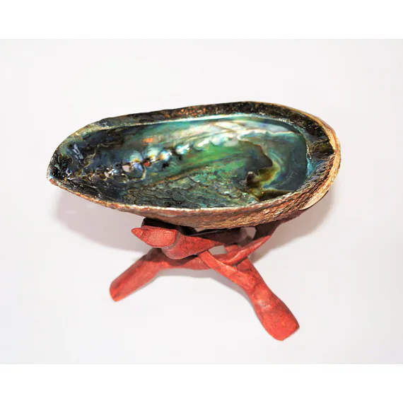 Mušle Abalone – přírodní nádoba pro vykuřování