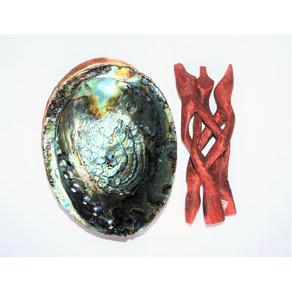 Mušle Abalone – přírodní nádoba pro vykuřování